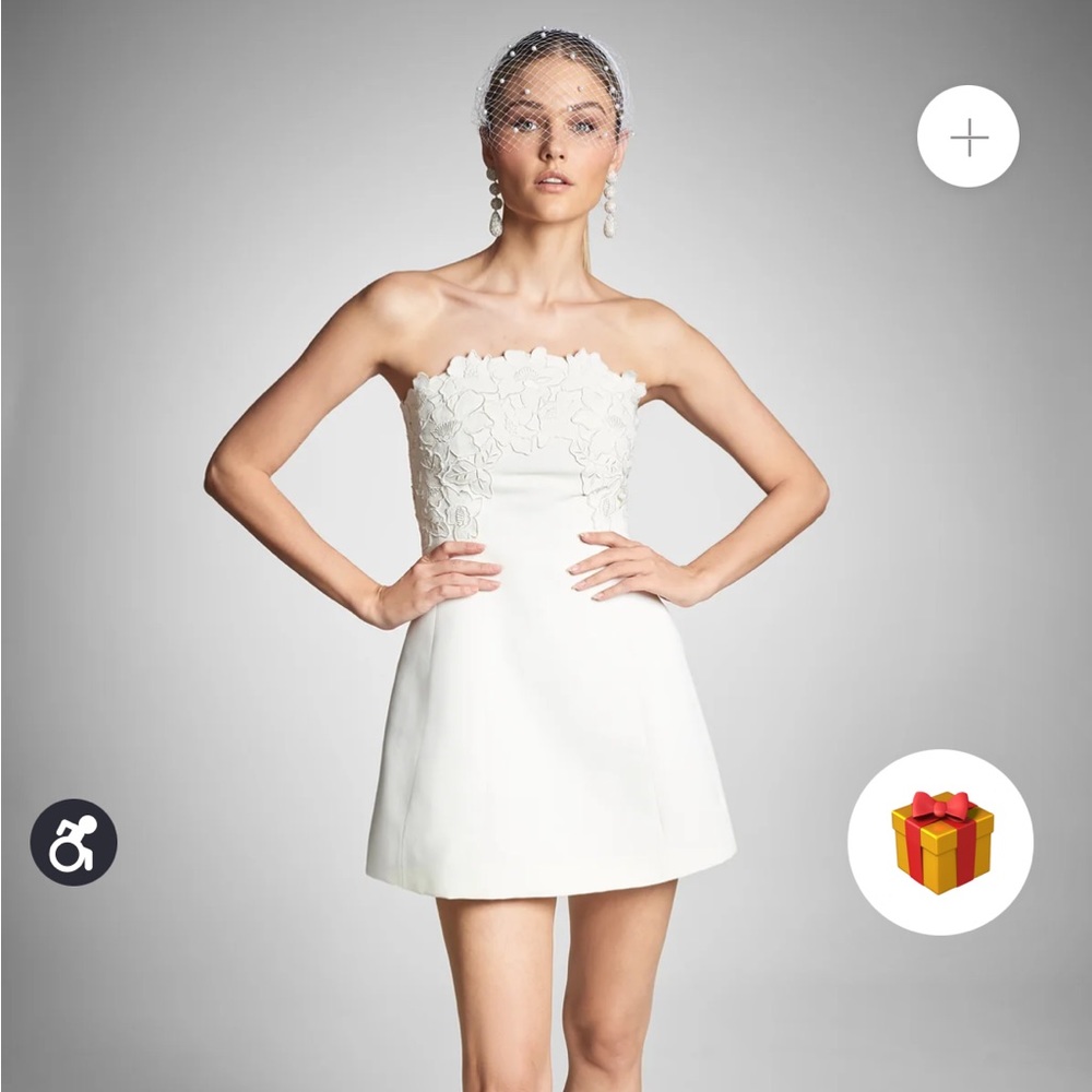 Sachin and Babi Alanna dress size 10